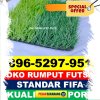 Supplier Rumput Sintetis Futsal Puspahiang.jpg