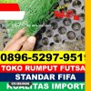 Supplier Rumput Sintetis Futsal Putussibau Utara.jpg