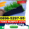 Jual Rumput Sintetis Futsal Pekalongan Selatan.jpg