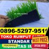 Jual Rumput Sintetis Futsal Grati.jpg