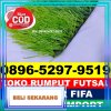 Gudang Rumput Sintetis Futsal Ranto Baek.jpg