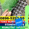 Supplier Rumput Sintetis Futsal Leces.jpg