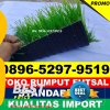 Jual Rumput Sintetis Futsal Watulimo.jpg