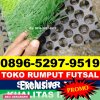 Supplier Rumput Sintetis Futsal Legonkulon.jpg