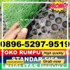 Supplier Rumput Sintetis Futsal Lembah Malintang.jpg