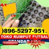 Supplier Rumput Sintetis Futsal Randudongkal.jpg