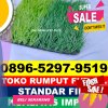 Produsen Rumput Sintetis Futsal Limapuluh.jpg