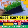 Jual Rumput Sintetis Futsal Kota Metro.jpg