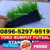 Jual Rumput Sintetis Futsal Gunung Kijang.jpg