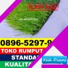 Gudang Rumput Sintetis Futsal Lokpaikat.jpg