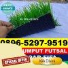 Jual Rumput Sintetis Futsal Gunung Meriah.jpg