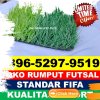 Supplier Rumput Sintetis Futsal Wates.jpg