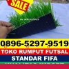 Jual Rumput Sintetis Futsal Kota Sawah Lunto.jpg