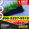 Jual Rumput Sintetis Futsal Woja.jpg