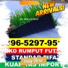 Jual Rumput Sintetis Futsal Pesisir Tengah.jpg