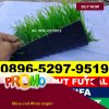 Jual Rumput Sintetis Futsal Wonoboyo.jpg