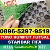 Supplier Rumput Sintetis Futsal Lingga Timur.jpg