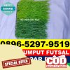 Supplier Rumput Sintetis Futsal Gunung Agung.jpg