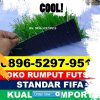 Jual Rumput Sintetis Futsal Pilangkenceng.jpg