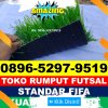 Jual Rumput Sintetis Futsal Pinoh Selatan.jpg