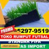 Jual Rumput Sintetis Futsal Koto Tujuh.jpg