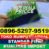 Produsen Rumput Sintetis Futsal Abung Pekurun.jpg