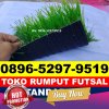 Jual Rumput Sintetis Futsal Krembangan.jpg