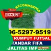 Supplier Rumput Sintetis Futsal Gunungsitoli Utara.jpg