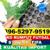 Supplier Rumput Sintetis Futsal Wonotirto.jpg