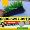 Jual Rumput Sintetis Futsal Krueng Sabee.jpg