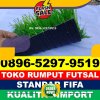 Jual Rumput Sintetis Futsal Kuala Behe.jpg