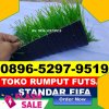 Jual Rumput Sintetis Futsal Kuala Kampar.jpg