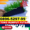 Jual Rumput Sintetis Futsal Pontianak Selatan.jpg