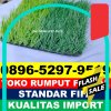 Supplier Rumput Sintetis Futsal Hinai.jpg