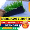 Jual Rumput Sintetis Futsal Pulau Banyak.jpg