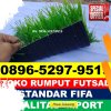 Jual Rumput Sintetis Futsal Pulau Derawan.jpg