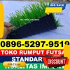 Jual Rumput Sintetis Futsal Lahomi.jpg