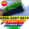 Jual Rumput Sintetis Futsal Pulo Gadung.jpg