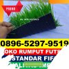 Jual Rumput Sintetis Futsal Puncak Sorik Marapi.jpg