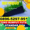 Jual Rumput Sintetis Futsal Libureng.jpg