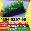 Jual Rumput Sintetis Futsal Loano.jpg