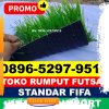 Jual Rumput Sintetis Futsal Rilau Ale.jpg