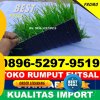 Jual Rumput Sintetis Futsal Lowokwaru.jpg