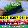 Jual Rumput Sintetis Futsal Lubuk Batu Jaya.jpg