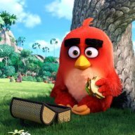 Angrybirdpm123