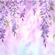 Valender Wisteria