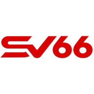 sv66voto