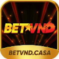 betvndcasa