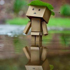 Danbo-Desktop-Wallpaper-Full-HD-Free-Download-Infographic-BLOG-5-620x349